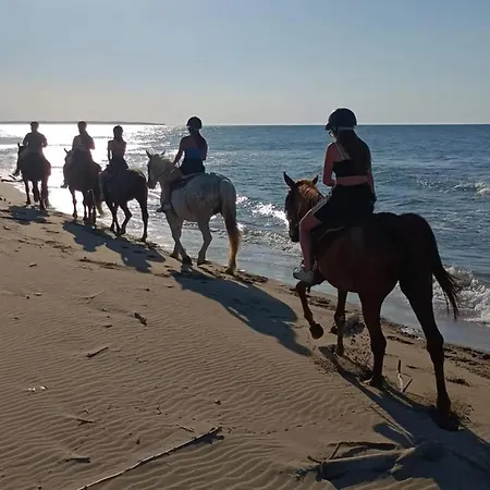 Bed & Breakfast Aura 4*