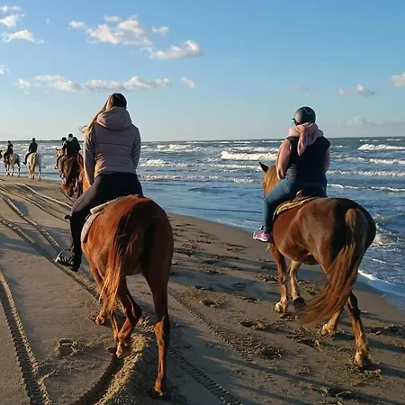 Bed & Breakfast Aura Lesina