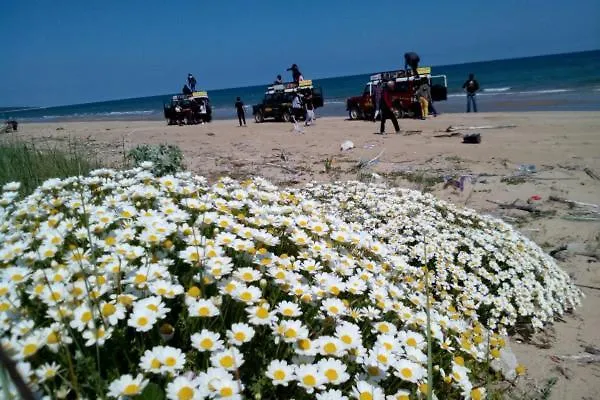 Bed & Breakfast Aura Lesina