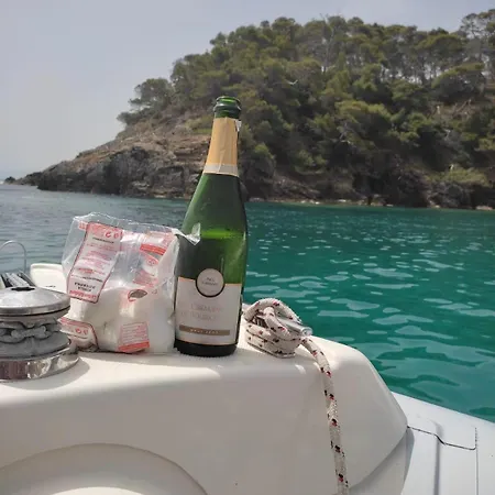 Bed and breakfast Aura