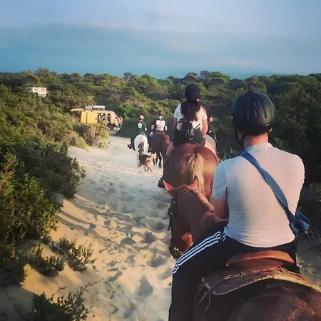 Bed and breakfast Aura Lesina